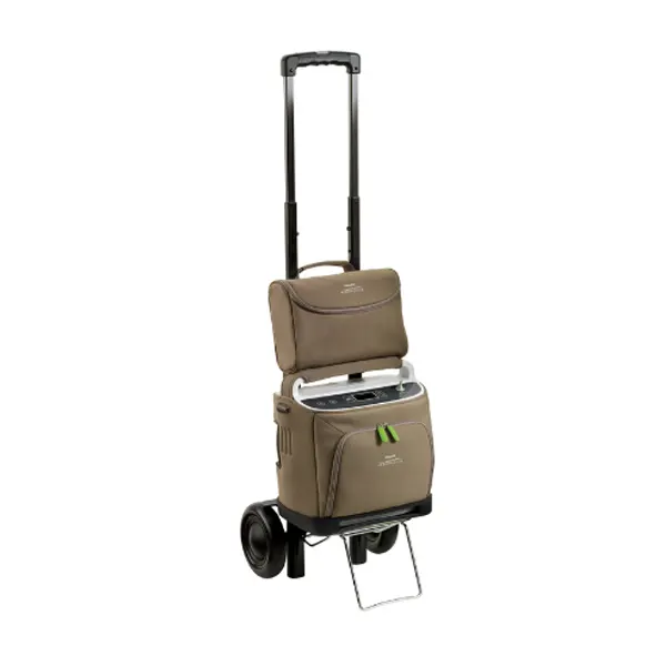 Concentrador De Oxigeno Portátil Phillips Simplygo